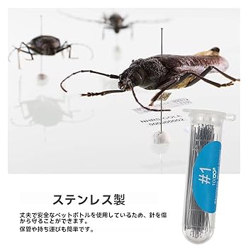 Amazon.co.jp: 100本 標本ピン 昆虫標本 虫ピン 標本 長さ40mm